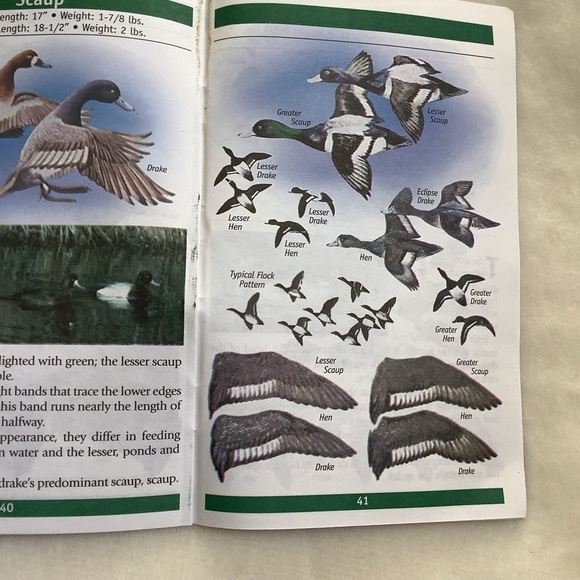 Know Thy Duck Booklet - Picture 3 of 8